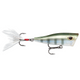  Bluegill