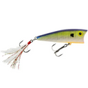  Blue Gill