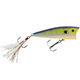  Blue Gill