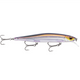  Bold Shad