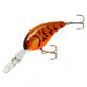  Brown Craw/Orange Belly