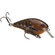  Brown Craw
