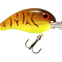  Chartreuse Belly