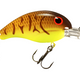 Chartreuse Belly