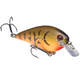  Brown Orange Belly Craw