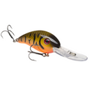  Brown Orange Belly Craw
