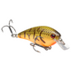  Brown Orange Belly Craw
