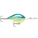  Caribbean Shad