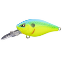  Chartreuse/Blue