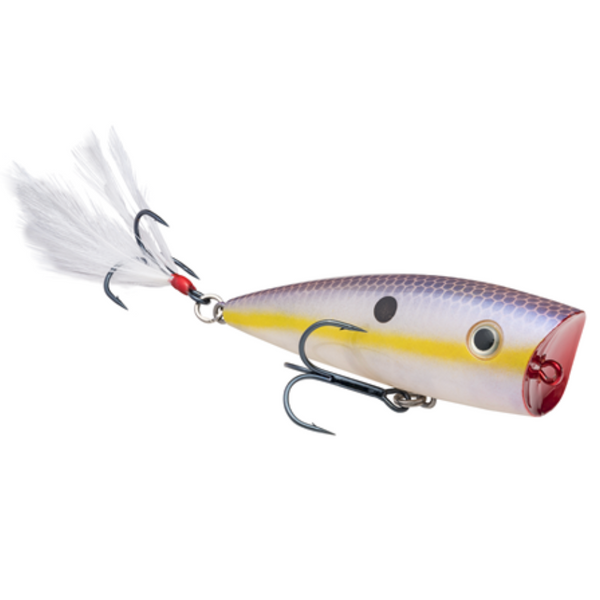 Strike King KVD Splash