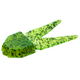  Chartreuse Pepper