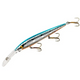  Chrome/Blue Back/OrgBelly