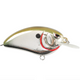 Chrome Olive