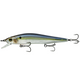  Chrome Threadfin