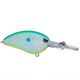  Citrus Shad
