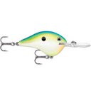  Citrus Shad