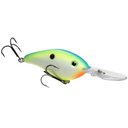 Citrus Shad