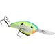  Citrus Shad