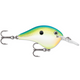  Citrus Shad