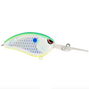 Citrus Shad