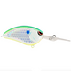  Citrus Shad