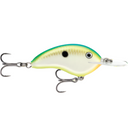  Citrus Shad