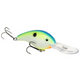  Citrus Shad