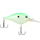  Citrus Shad