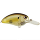  Clear Chartreuse