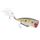  Clear Ghost Sexy Shad