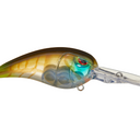  Clear Gill