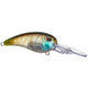  Clear Gill