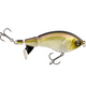  Clearwater Minnow