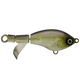  Clearwater Minnow