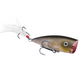  Clearwater Minnow