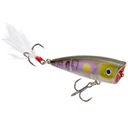  Clearwater Minnow