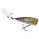  Clearwater Minnow