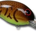  Crawfish/Chartreuse Belly