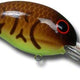  Crawfish/Chartreuse Belly