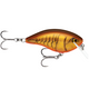  Dark Brown Crawdad