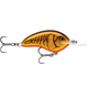  Dark Brown Crawdad