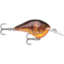  Dark Brown Crawdad