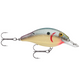  Dirty Tennessee Shad