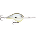  Disco Shad