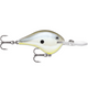  Disco Shad
