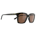  Enigma - Green Demi Acetate Frame/Brown TAC Polarized Lens