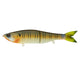  Cajun Gill