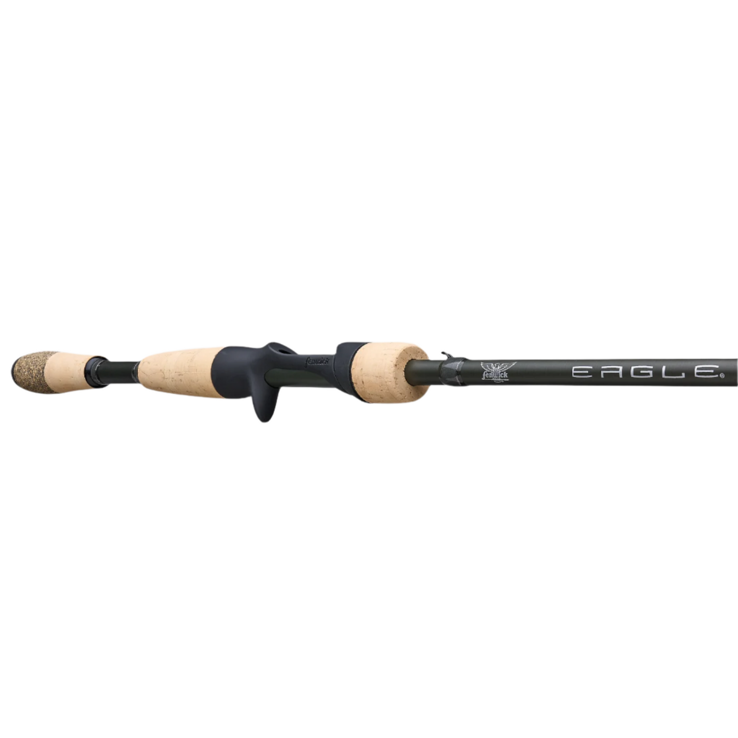 Fenwick Eagle Casting Rod 2024