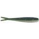  Emerald Shiner