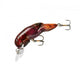  Flaming Junebug